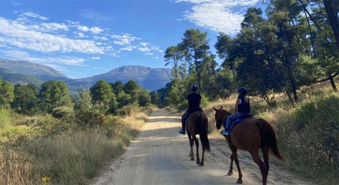 La Casona De Collado ξενώνας Hoyos del Collado Εξωτερικό φωτογραφία